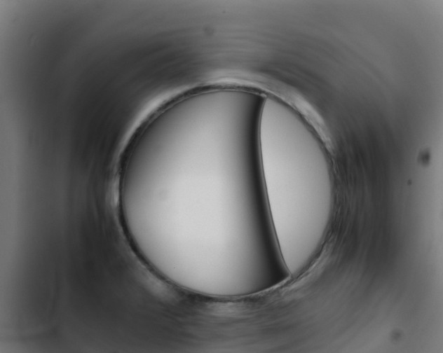 X0000103431376200809121026