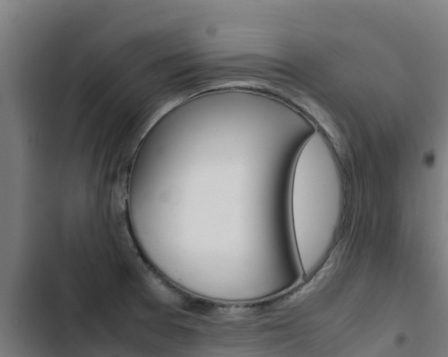 X0000103431377200809121026