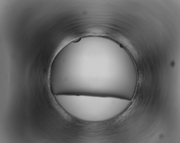 X0000103431378200809121026