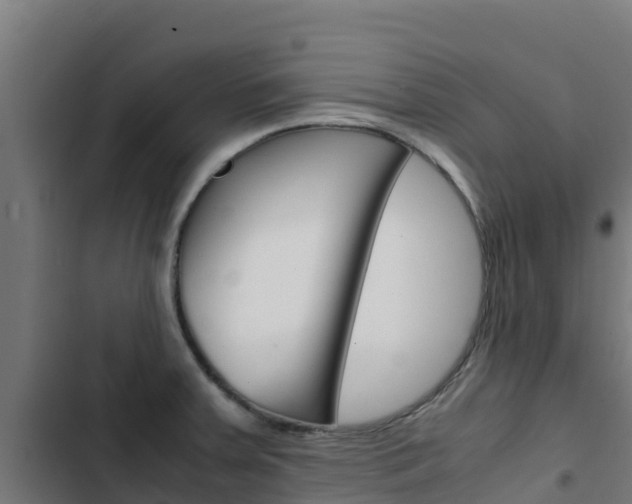 X0000103431379200809121026