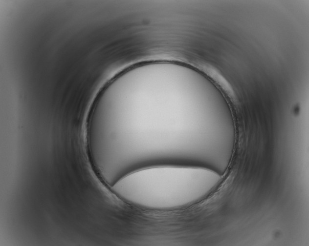 X0000103431380200809121026