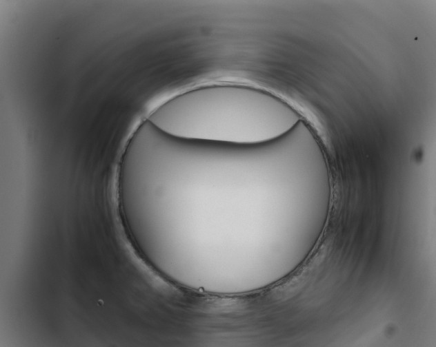 X0000103431382200809121026