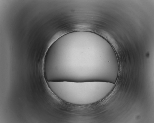 X0000103431386200809121026