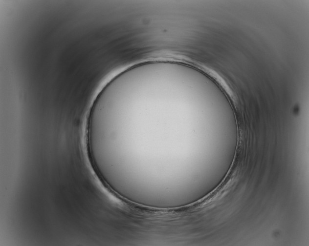 X0000103431387200809121026