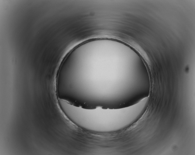 X0000103431388200809121026