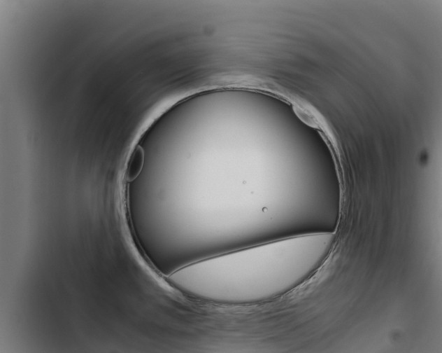 X0000103431389200809121026