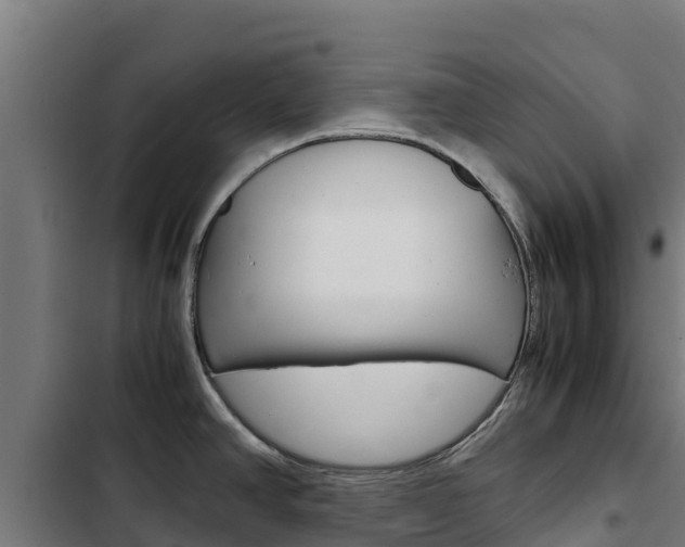 X0000103431390200809121026