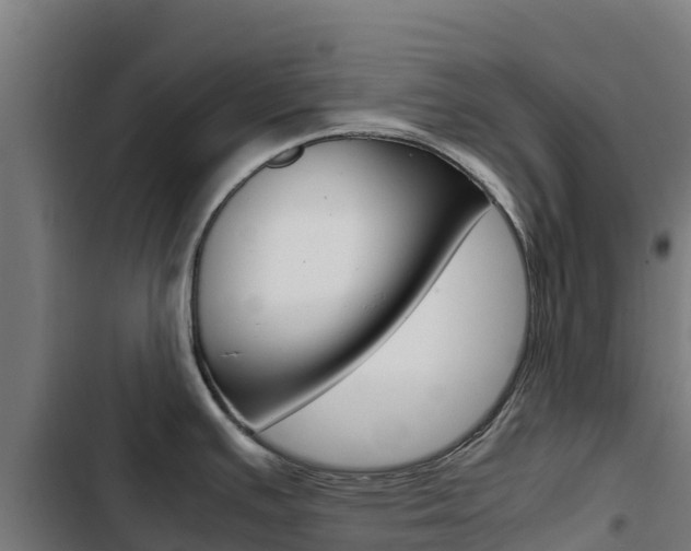 X0000103431391200809121026