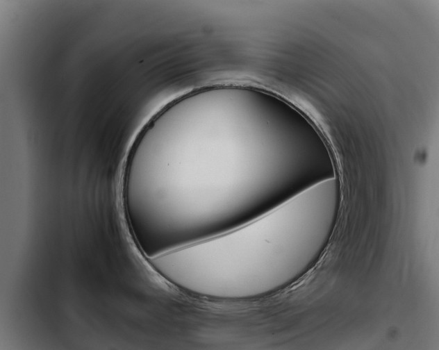 X0000103431392200809121026