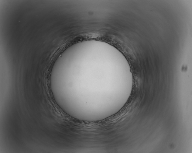 X0000103431393200809121025
