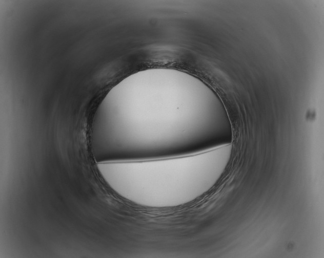 X0000103431394200809121025