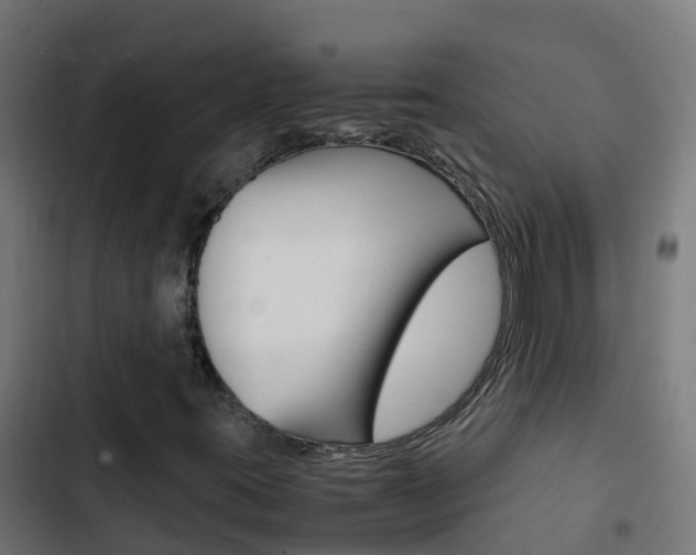 X0000103431395200809121025