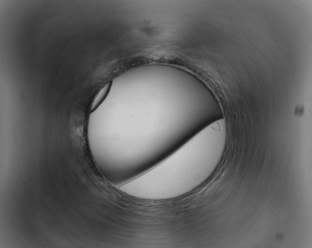 X0000103431396200809121025
