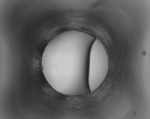 X0000103431397200809121025