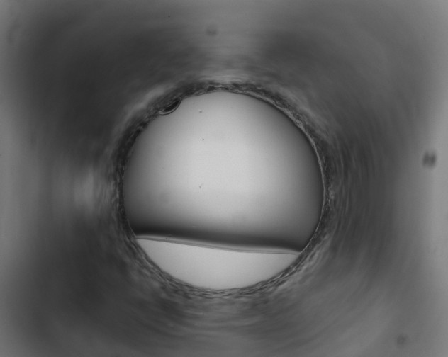 X0000103431398200809121025