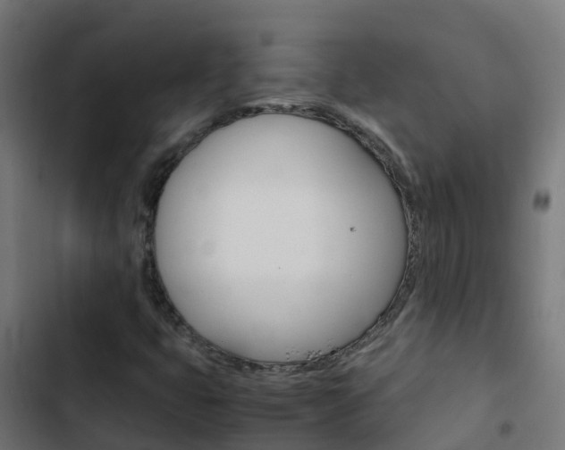 X0000103431399200809121025