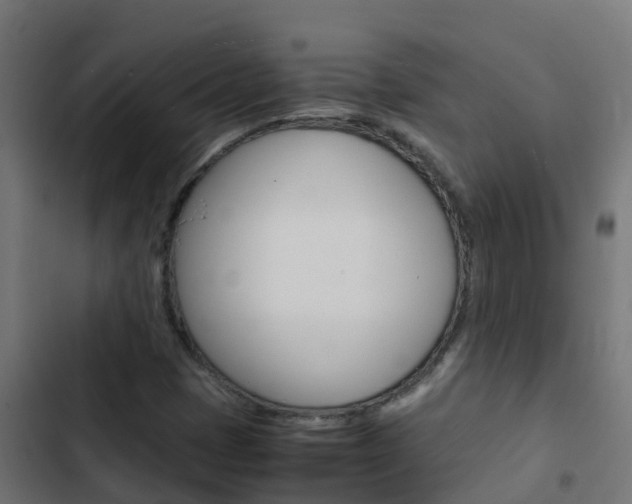 X0000103431401200809121025