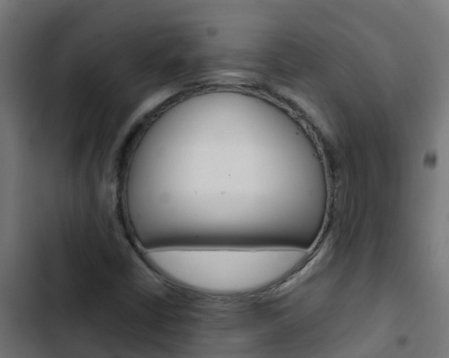 X0000103431402200809121025