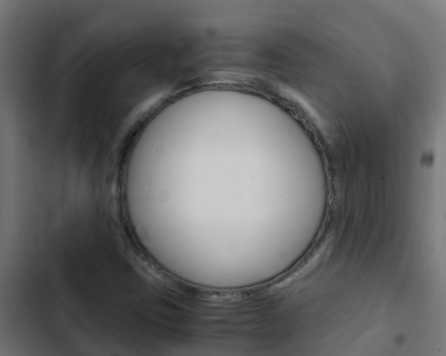 X0000103431403200809121025