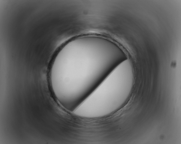 X0000103431404200809121025
