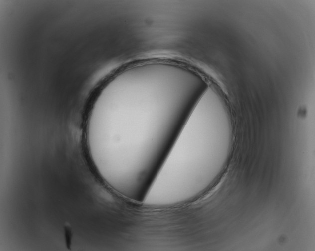 X0000103431406200809121025