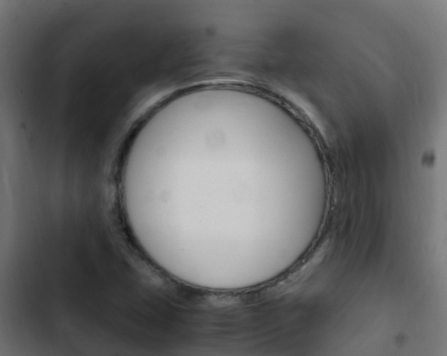 X0000103431407200809121025