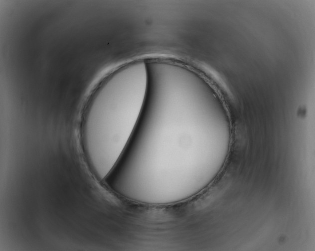 X0000103431408200809121025