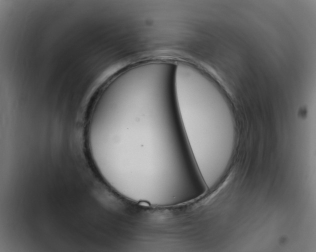 X0000103431410200809121026