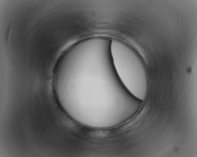 X0000103431411200809121026