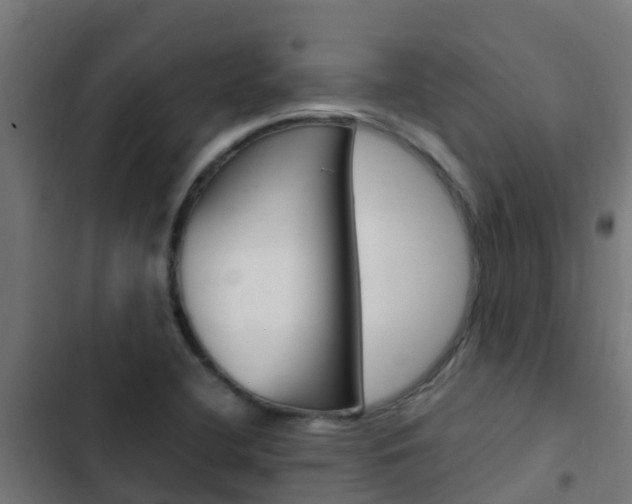 X0000103431412200809121026