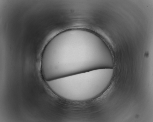 X0000103431413200809121026