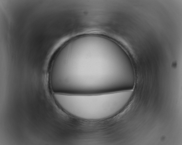 X0000103431414200809121026