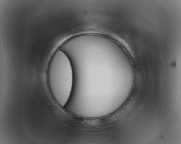 X0000103431415200809121026