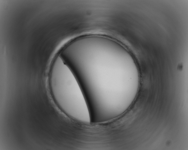 X0000103431416200809121026