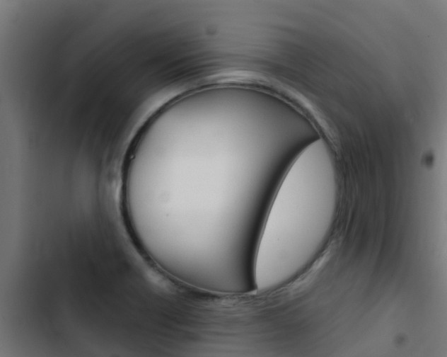 X0000103431418200809121026