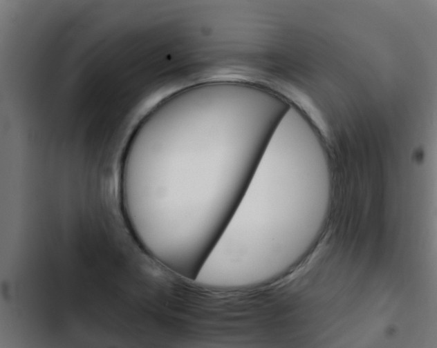 X0000103431419200809121026
