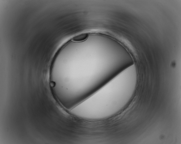 X0000103431420200809121026