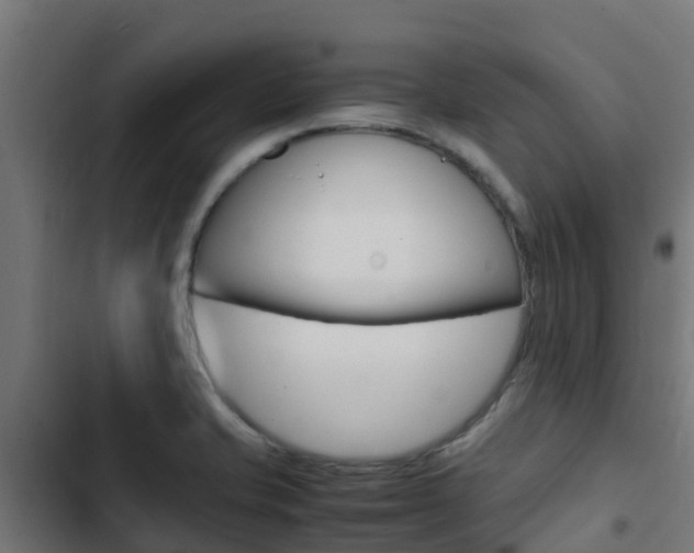 X0000103431421200809121026
