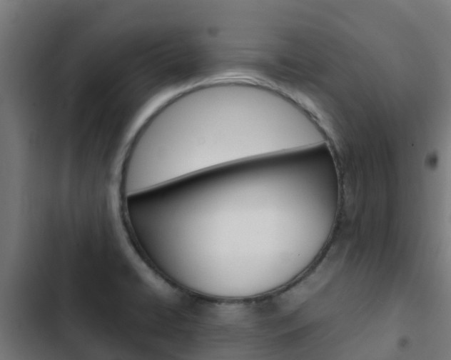 X0000103431422200809121026