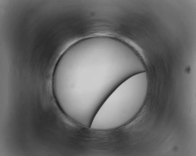 X0000103431423200809121026