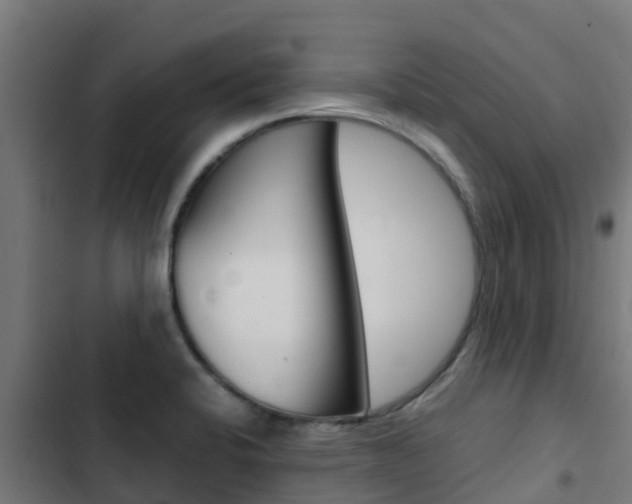 X0000103431424200809121026