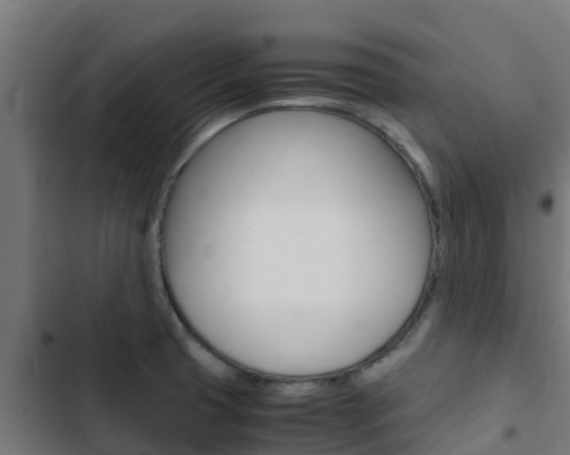 X0000103431425200809121026