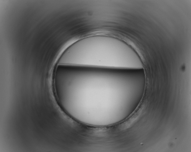 X0000103431426200809121026