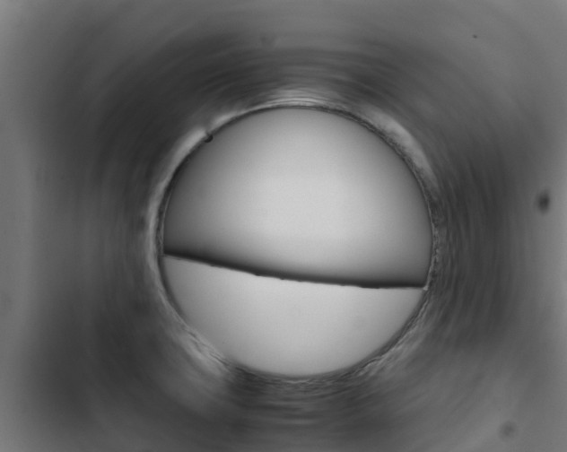 X0000103431427200809121026