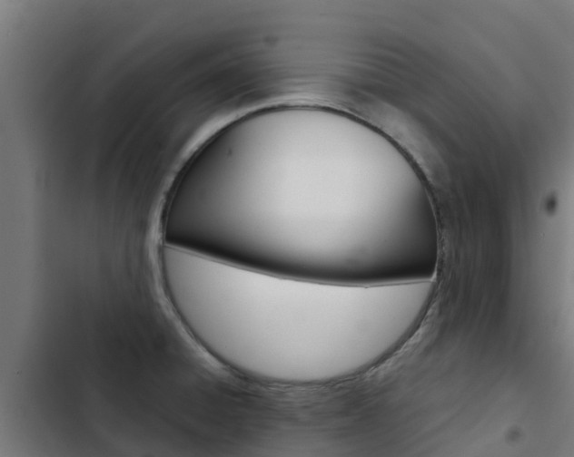 X0000103431428200809121026