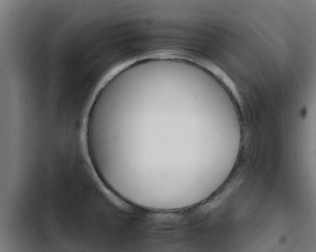 X0000103431429200809121026