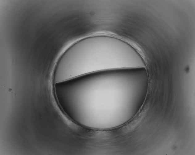 X0000103431430200809121026