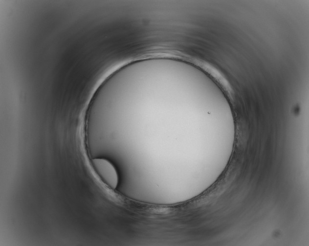 X0000103431431200809121026