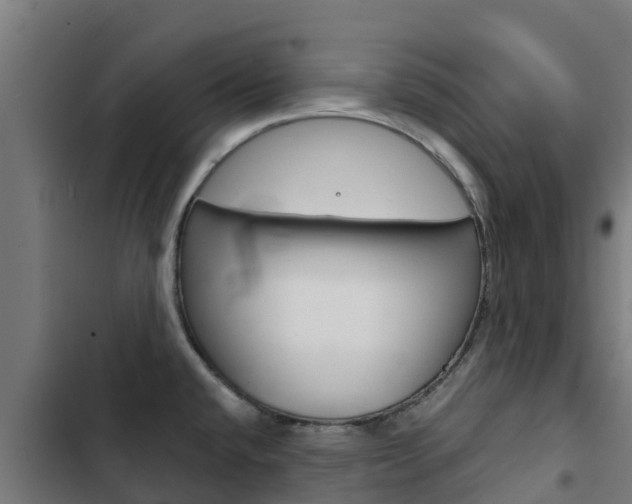 X0000103431432200809121026