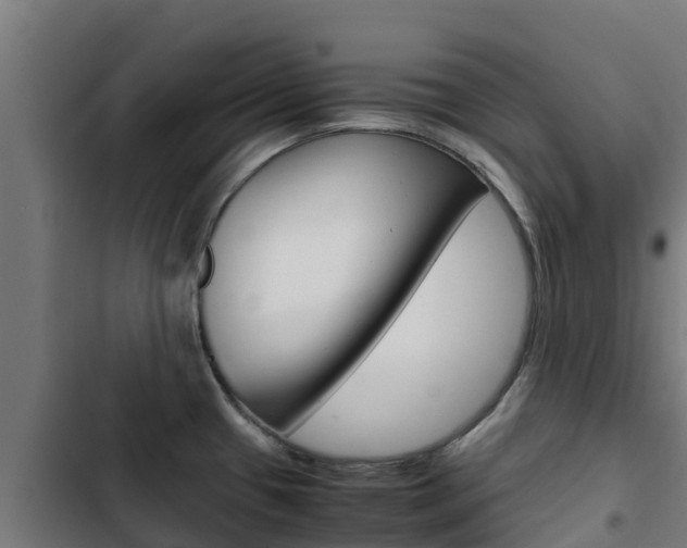 X0000103431433200809121026